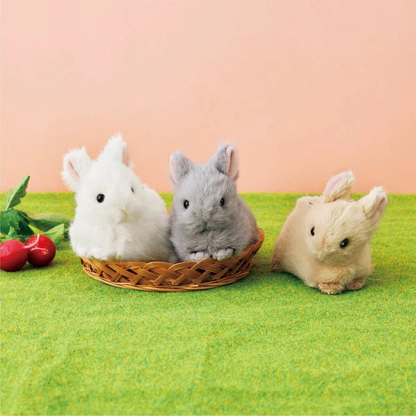 Holland Dwarf Rabbit Zipper Pouch Bag- Available in 3 Colors!