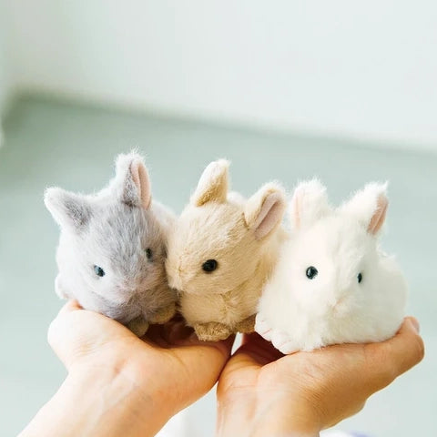 Holland Dwarf Rabbit Zipper Pouch Bag- Available in 3 Colors!