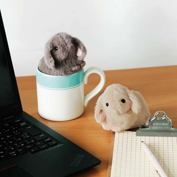 Loppy Rabbit Zipper Pouch Bag- Available in 3 Colors!