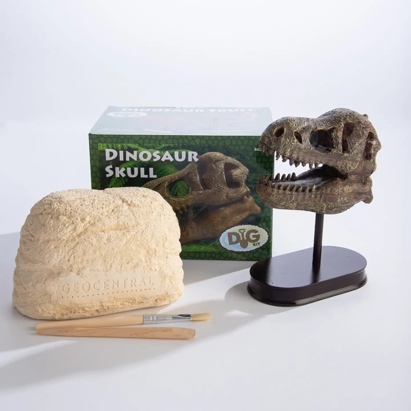 DIY Dinosaur Head Excavation Kit- Includes 2 Dino Heads