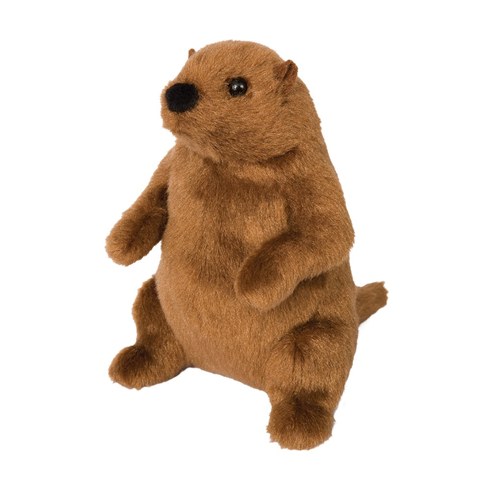 Mr. G Groundhog Stuffed Animal