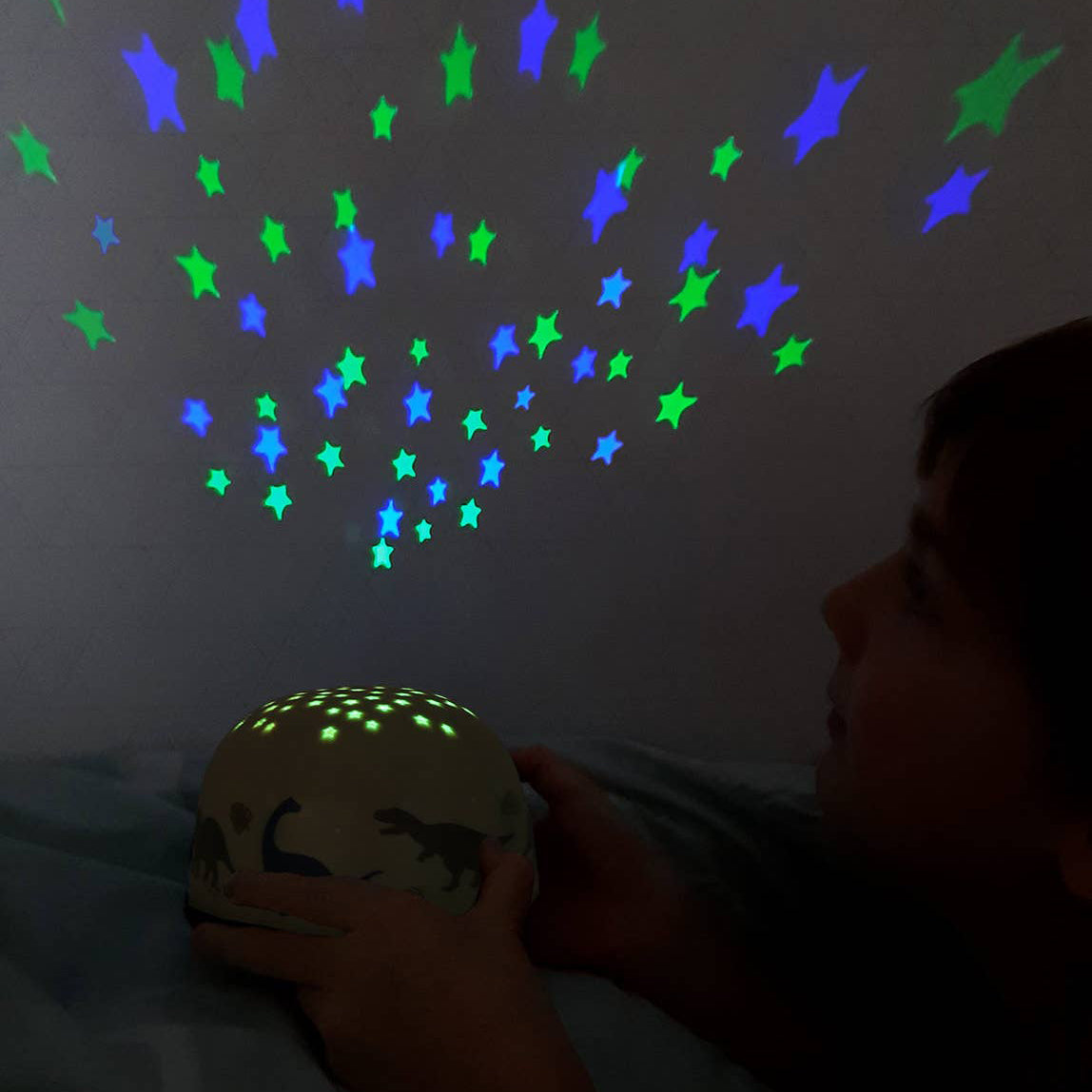 NEW Projector Light: Dinosaurs