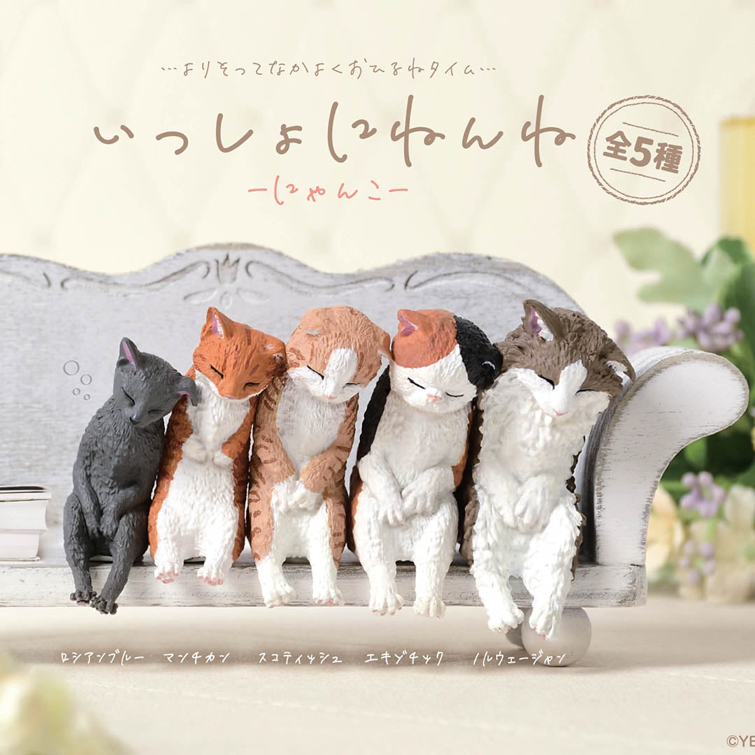 Japanese Blind Box- Let's Sleep Cat Surprise Box
