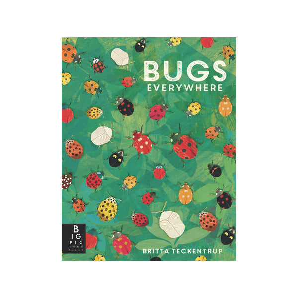 Bugs Everywhere Book- Paperback