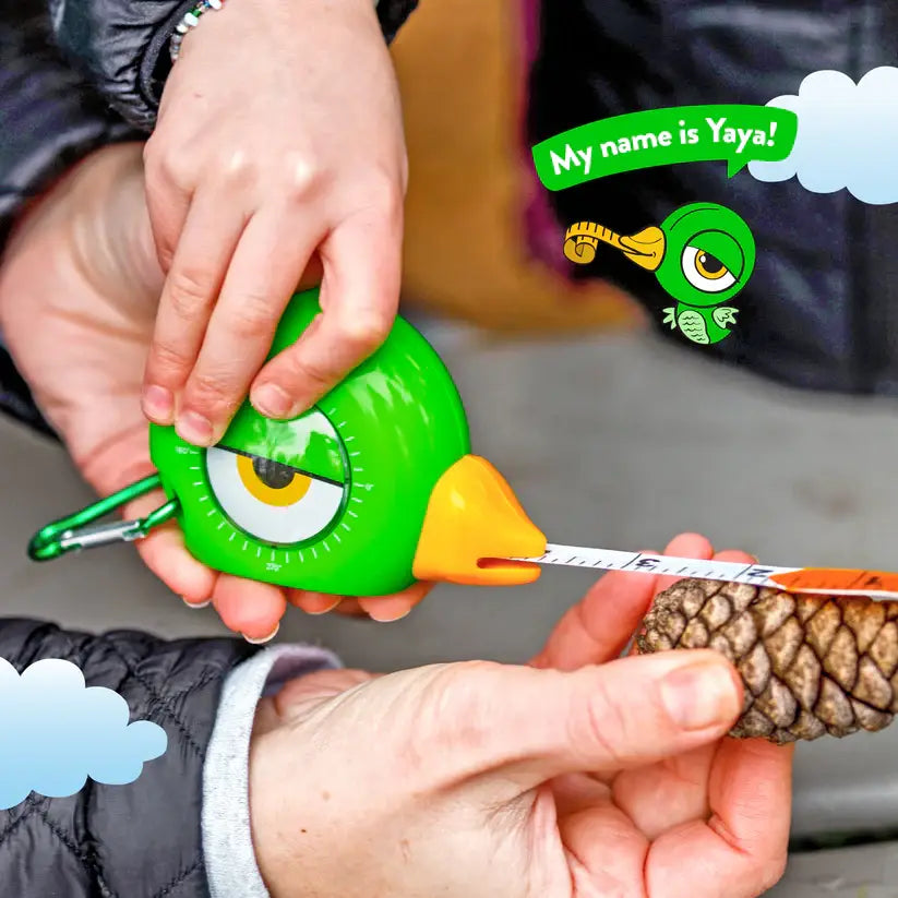 Stem Measuring Tape 4-in-1 Tool : Green Bird