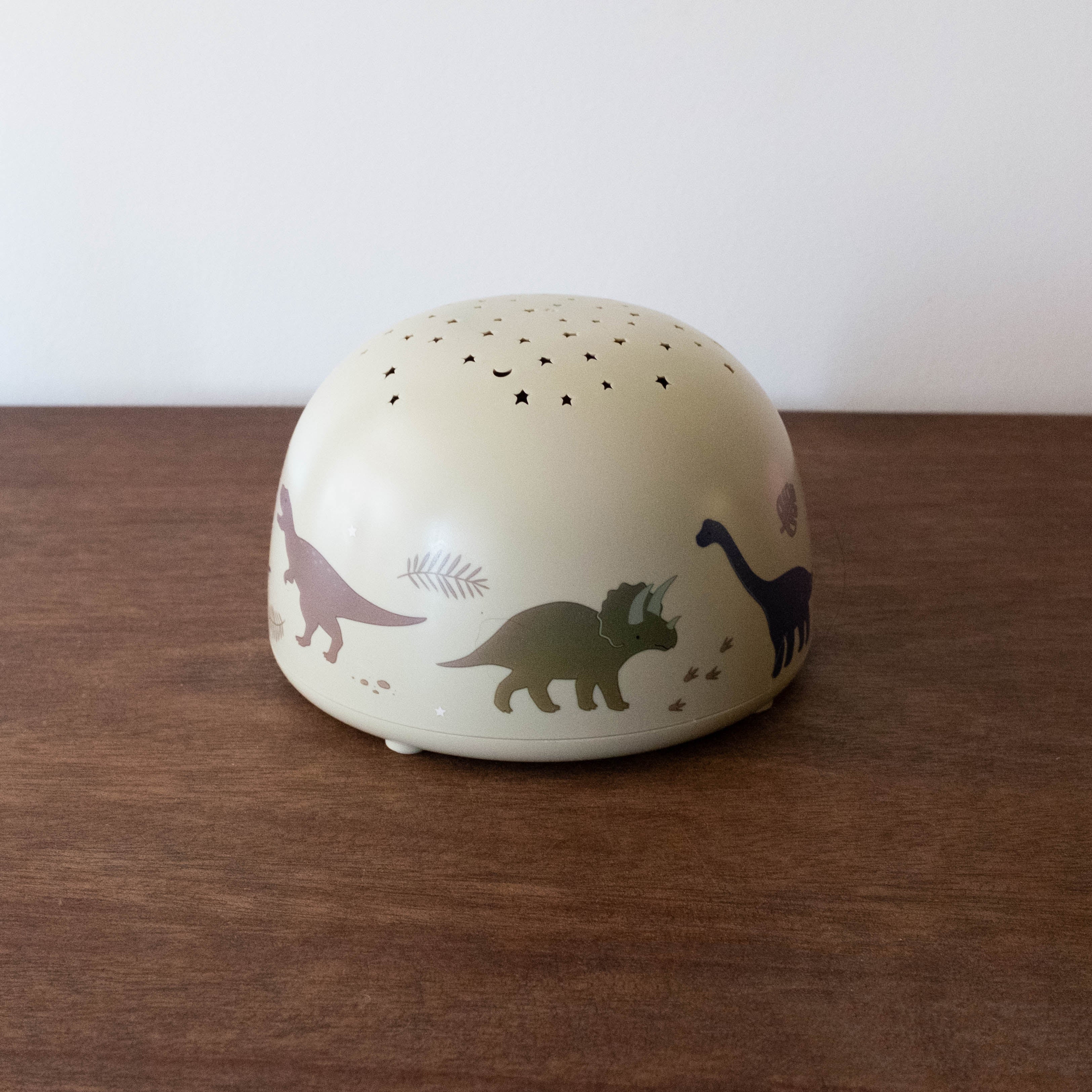 NEW Projector Light: Dinosaurs