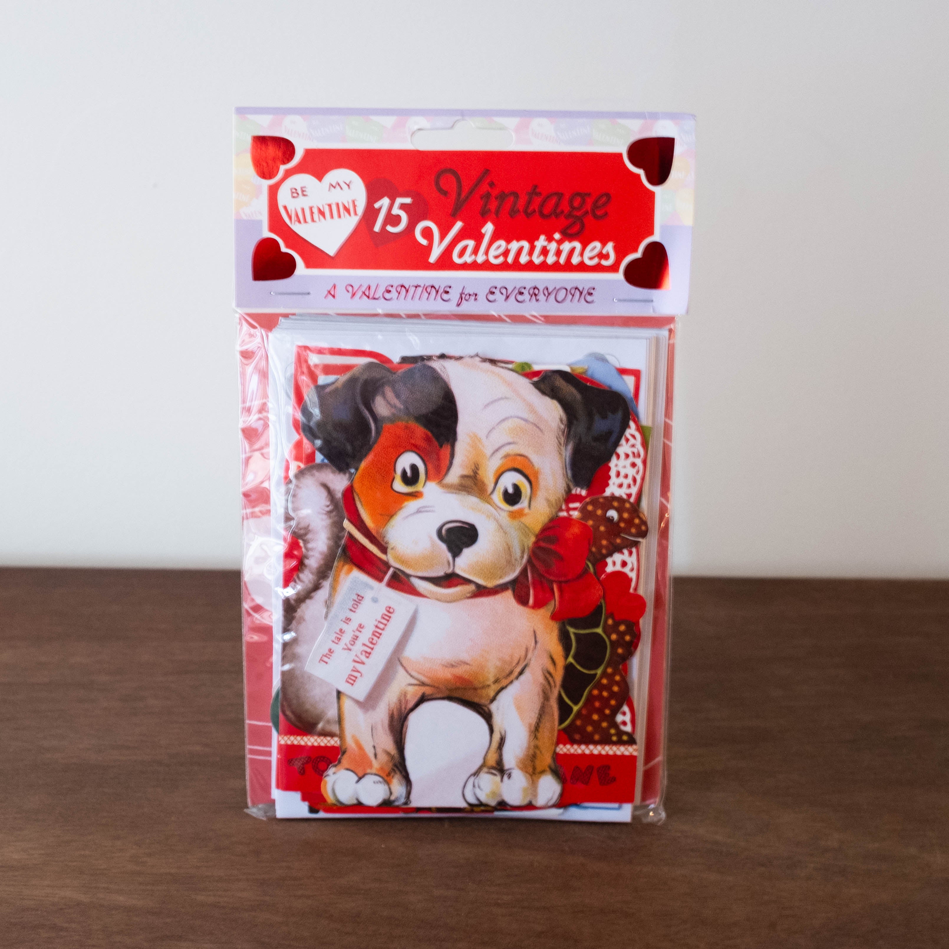NEW Retro Valentine Card Set- A Valentine For Everyone