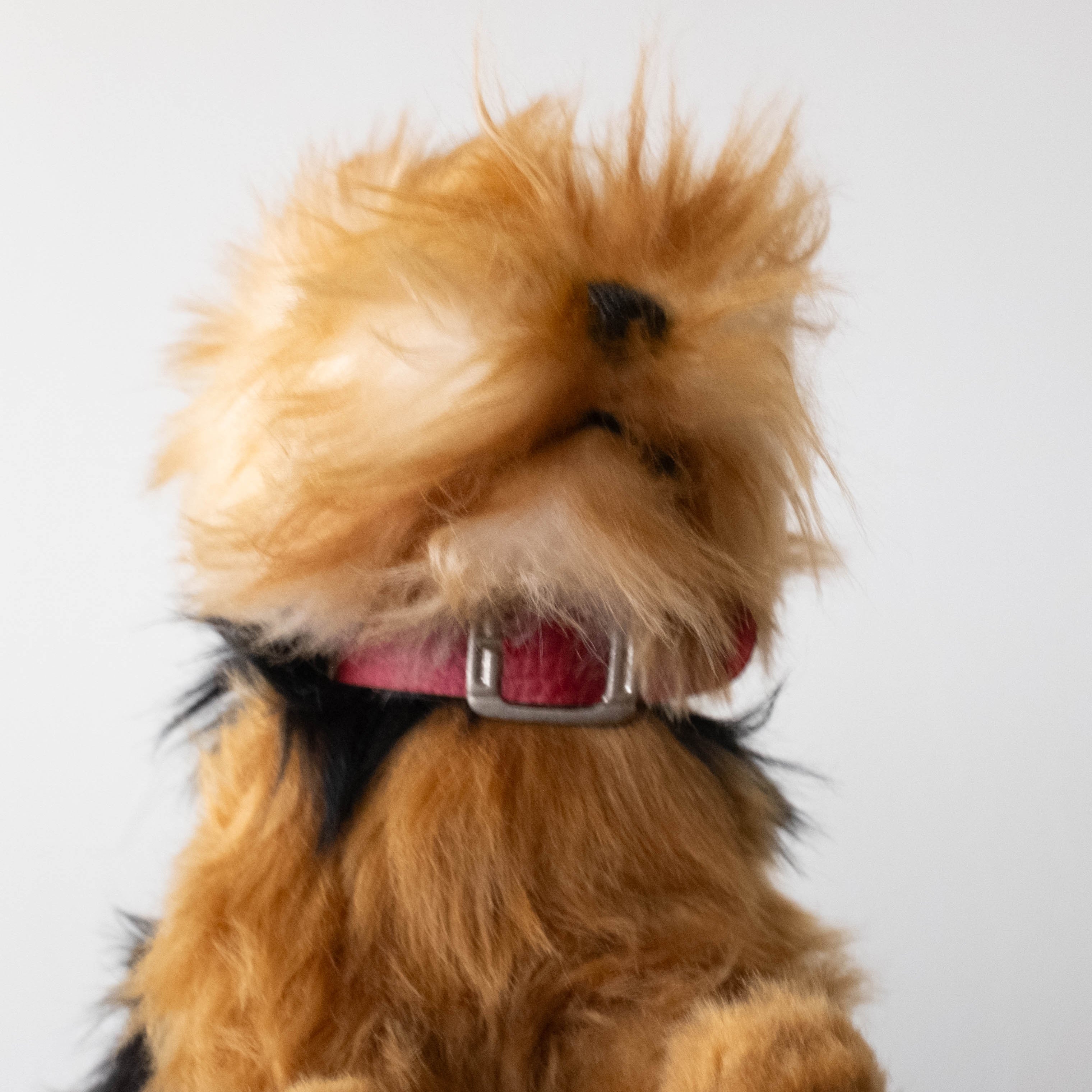 Yorkshire Terrier Stuffed Animal