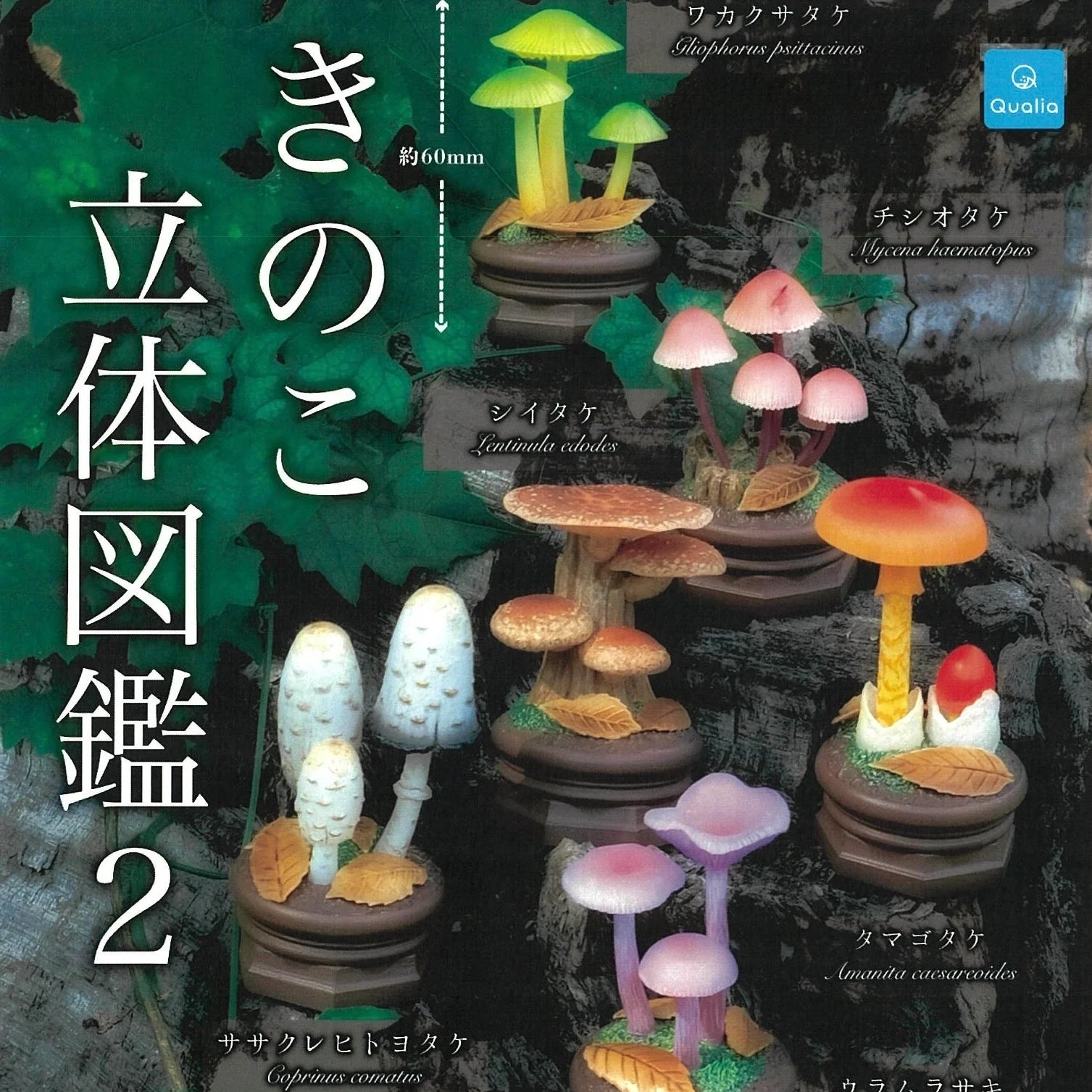 Japanese Capsule: Mushroom Vol. 2 Figurine
