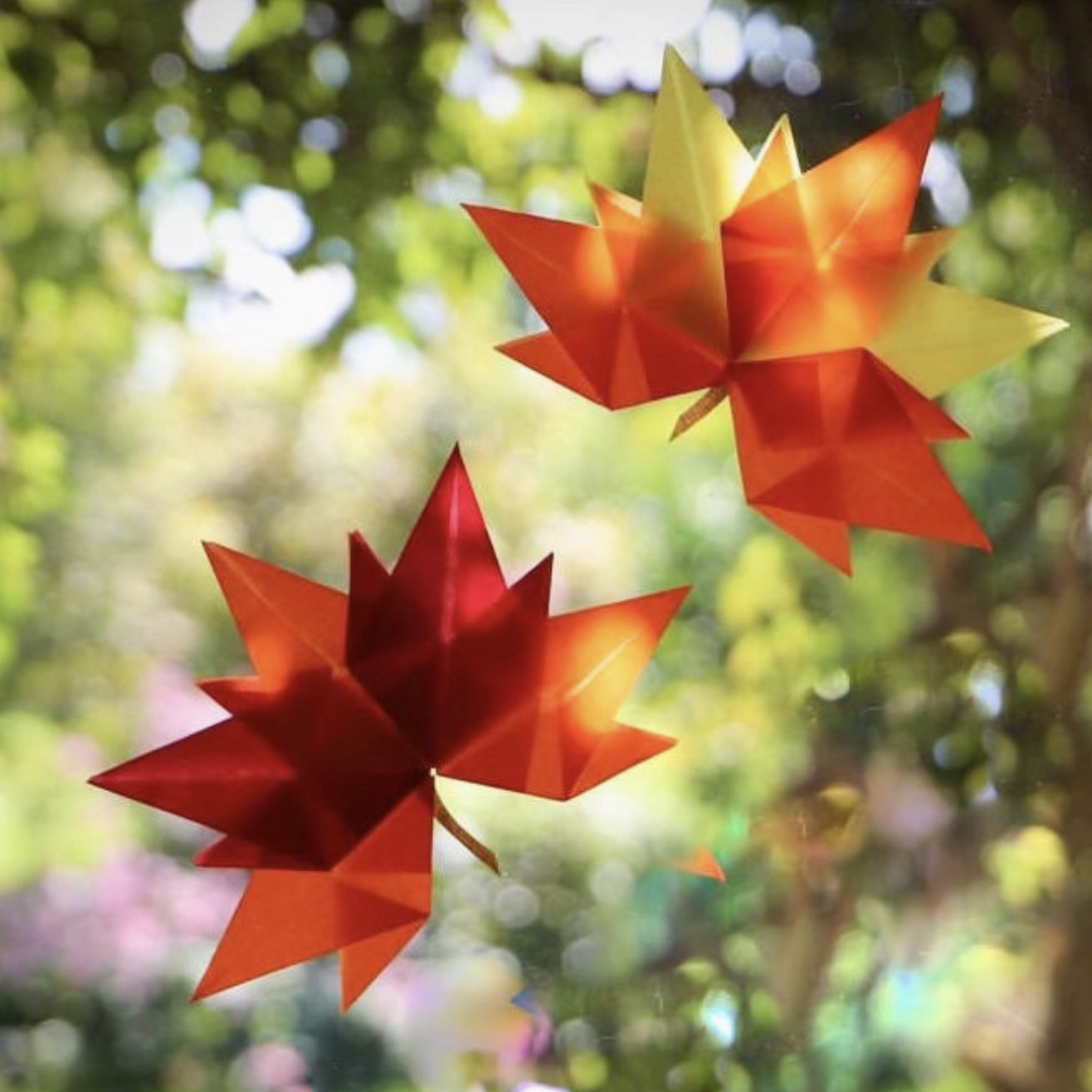 Waldorf Maple Leaves Kite Paper Folding Kit
