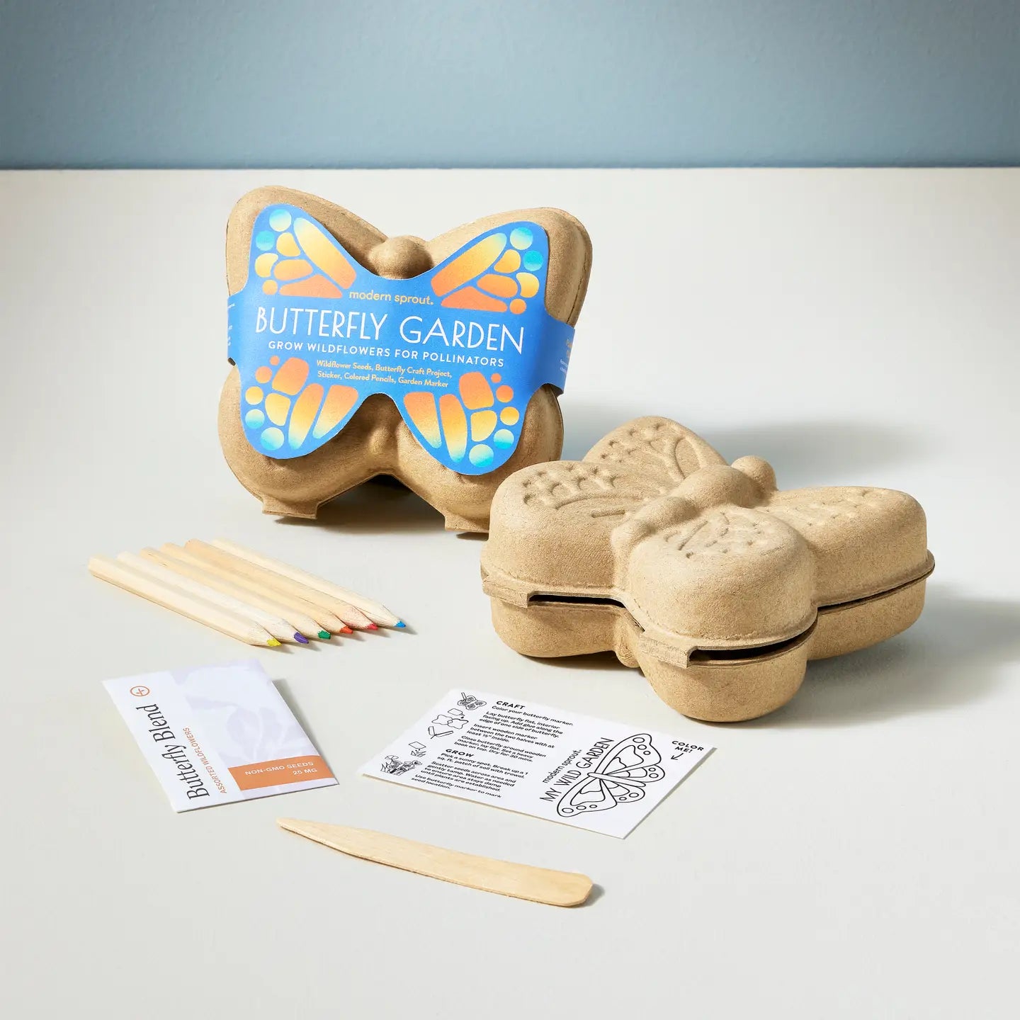 Curious Critters Activity Kit- Butterfly