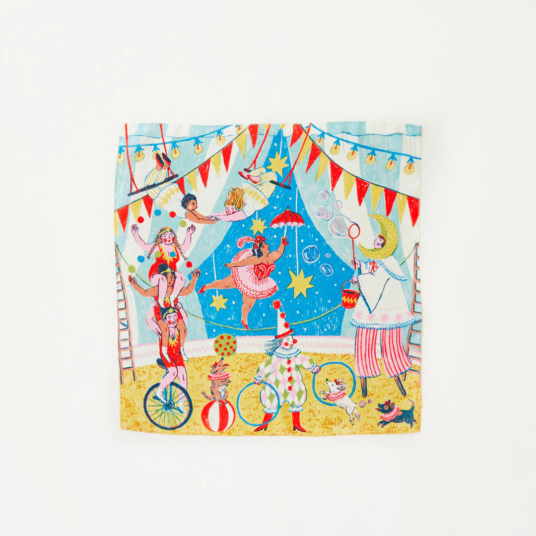 Mini Circus Playsilk