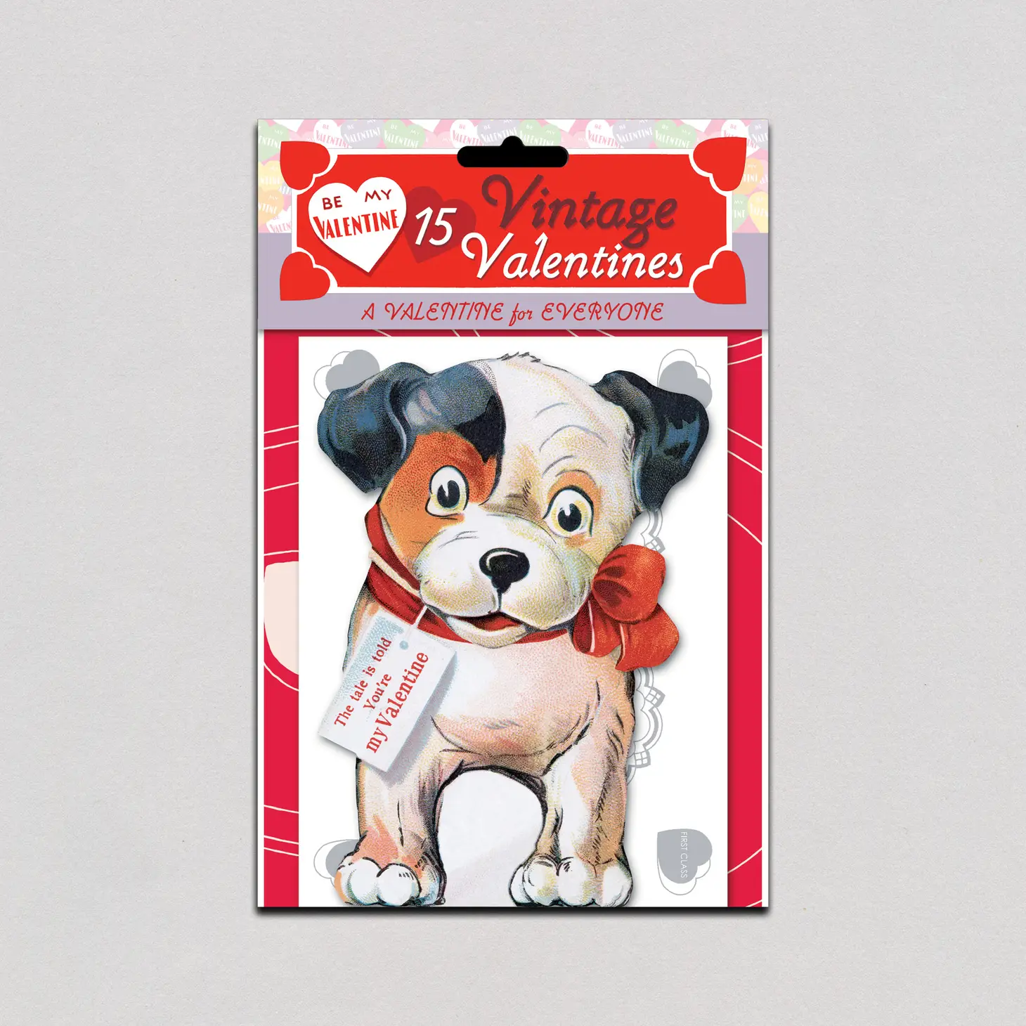 NEW Retro Valentine Card Set- A Valentine For Everyone