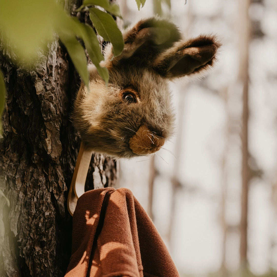 NEW Coat Hanger Brown Hare