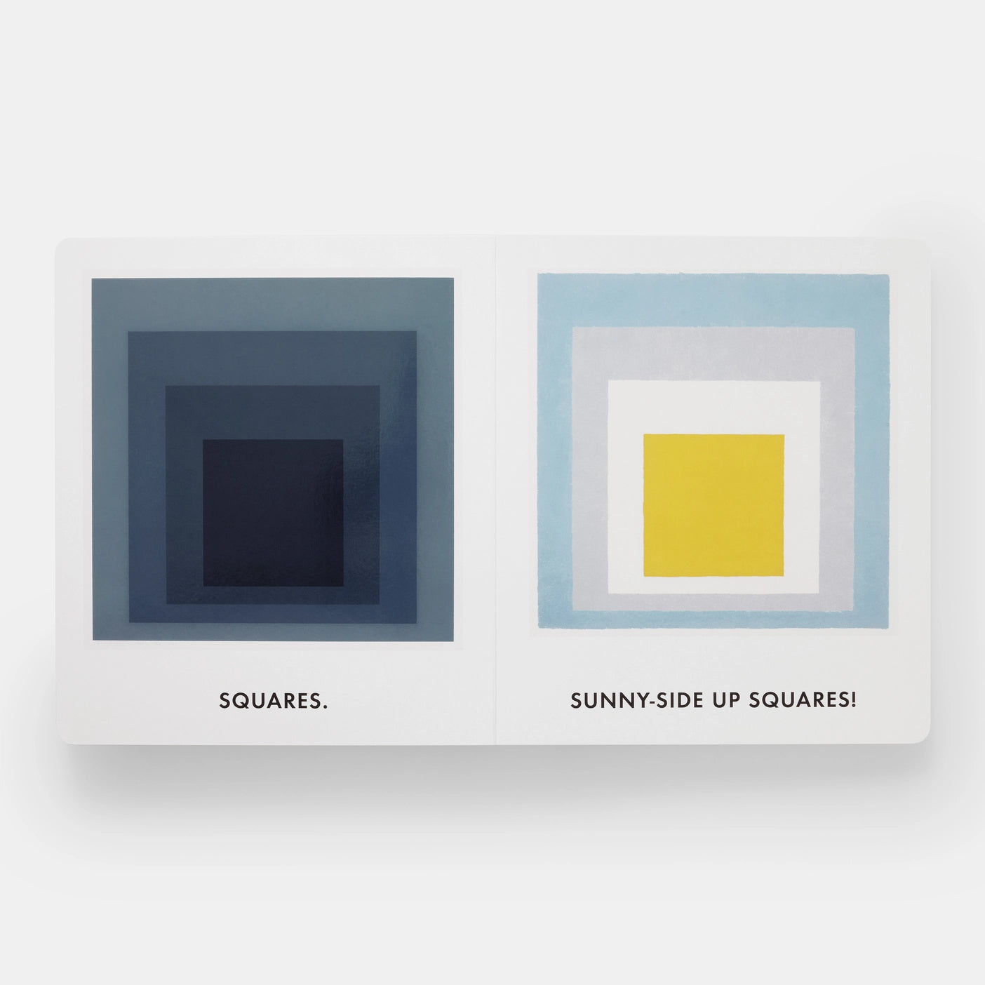 Squares & Other Shapes: with Josef Albers Board Book
