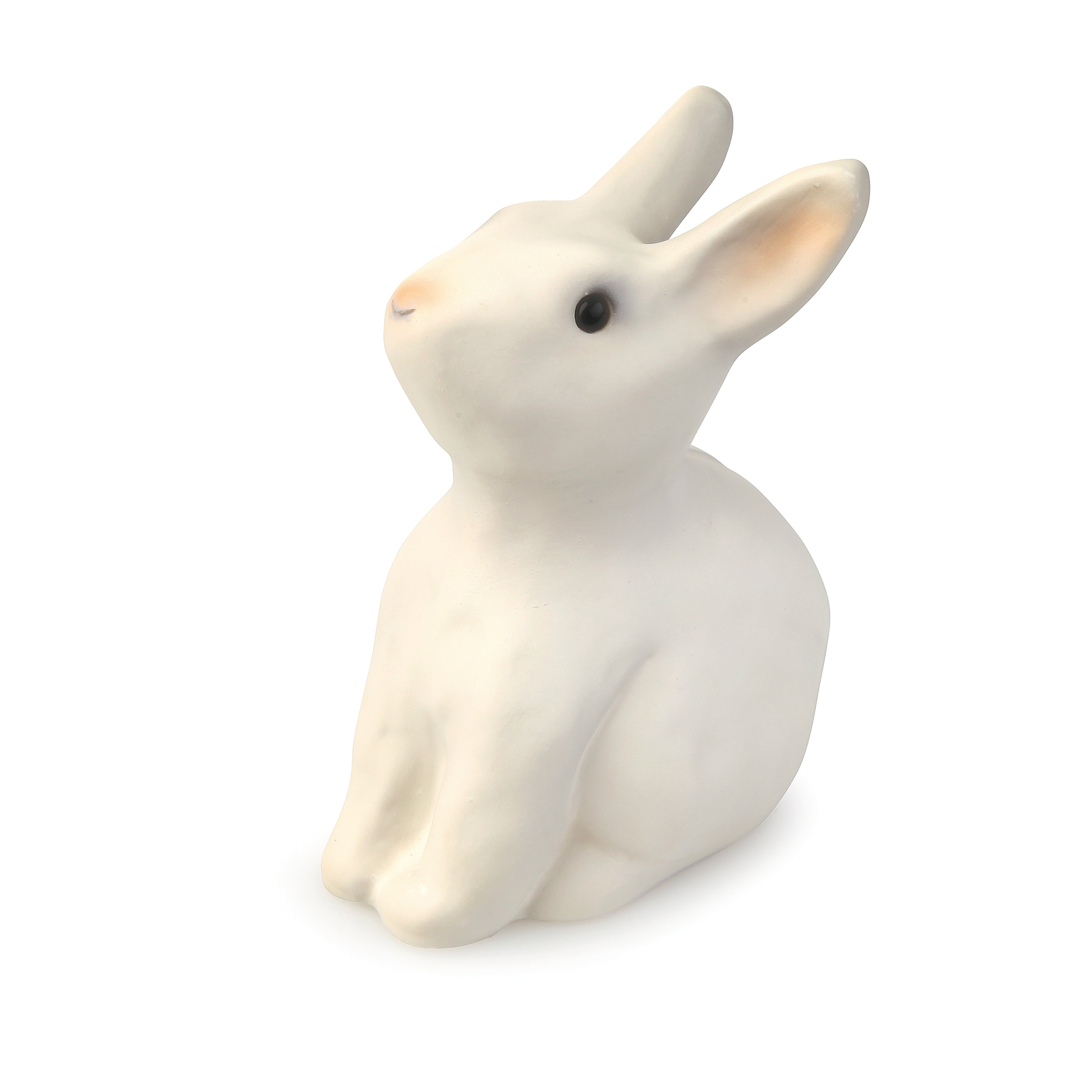NEW Bunny Bank