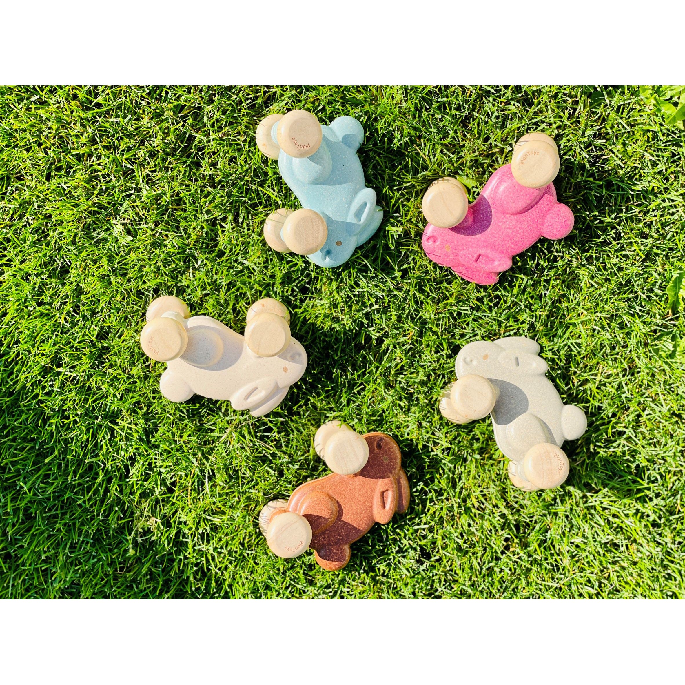 Hop Along Bunnies- Other Colors Available!