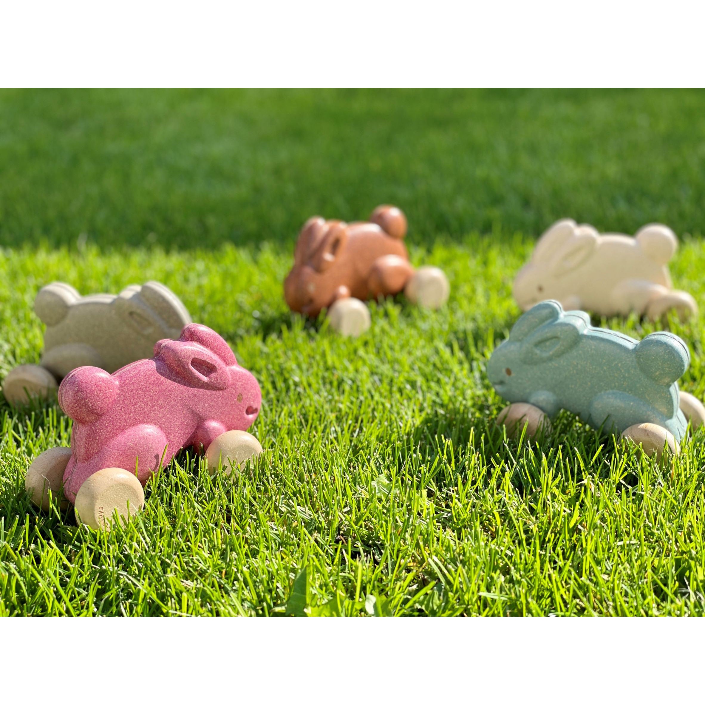 Hop Along Bunnies- Other Colors Available!