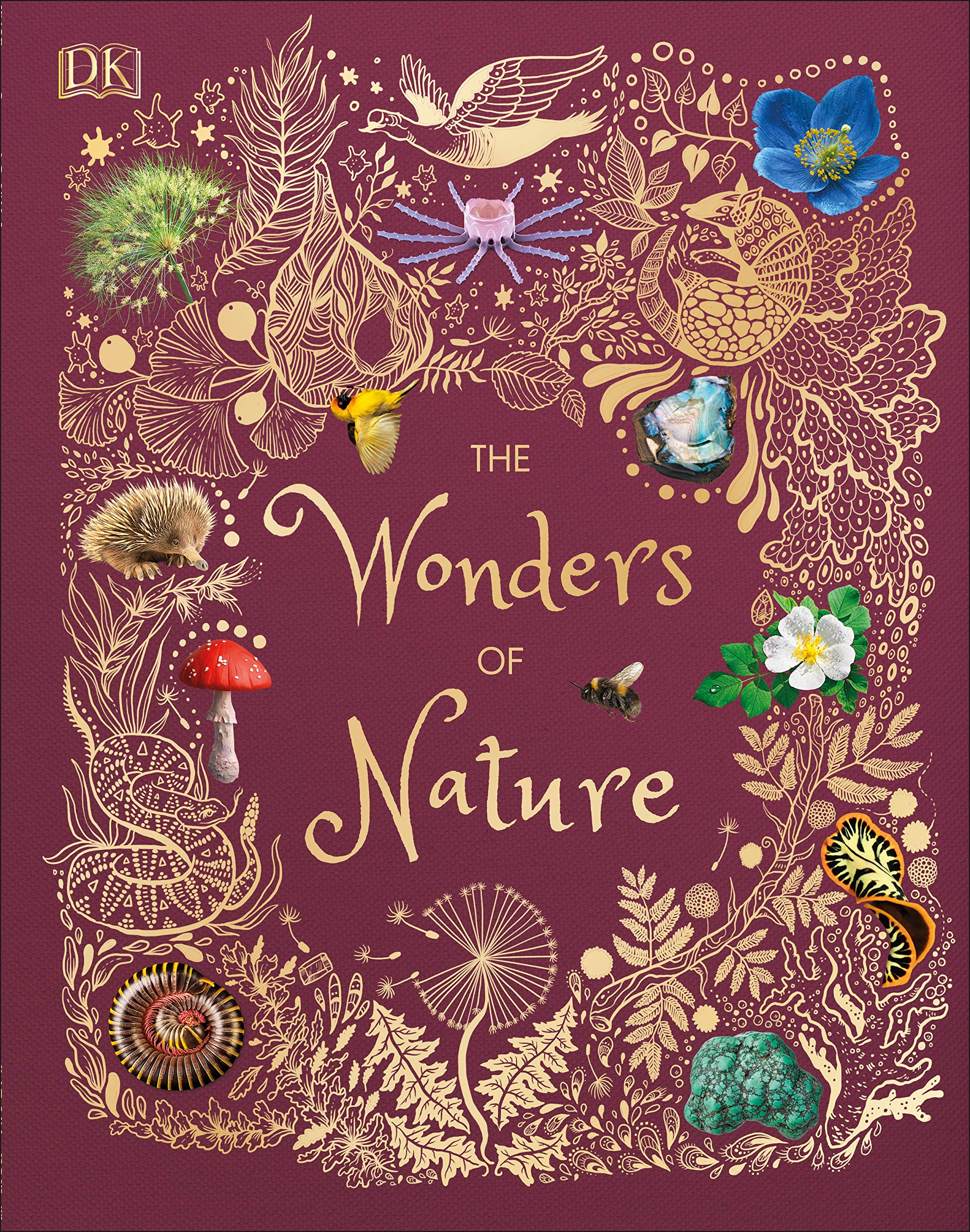 Wonders of Nature Book