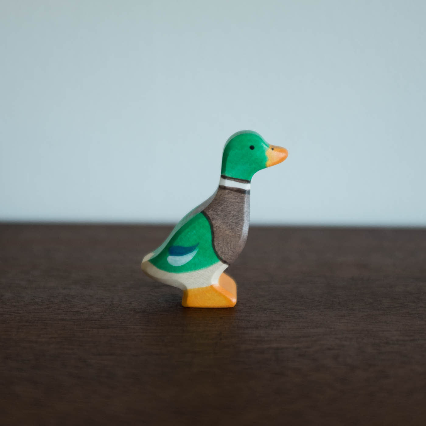 Holztiger Drake Duck