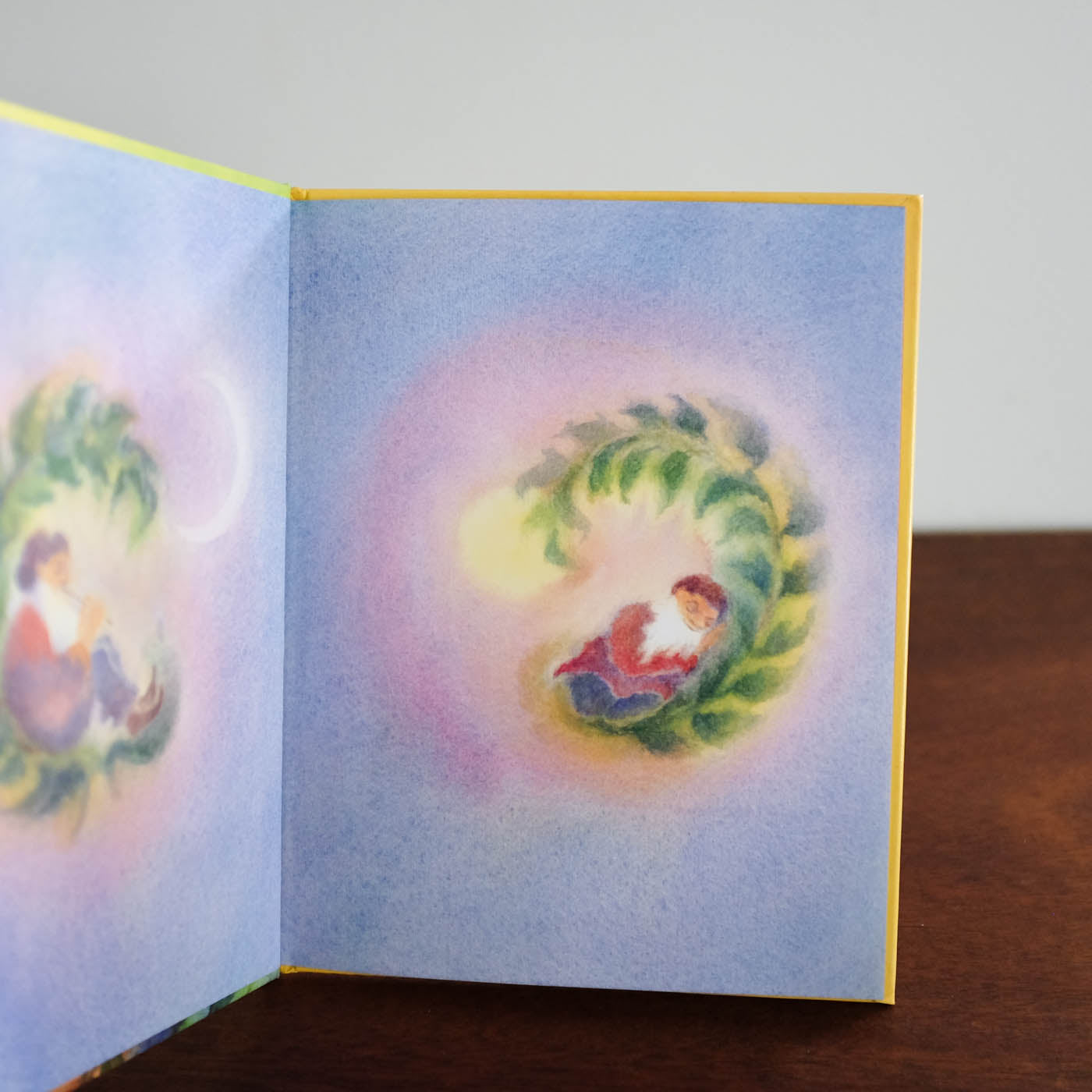 Pico the Gnome Book