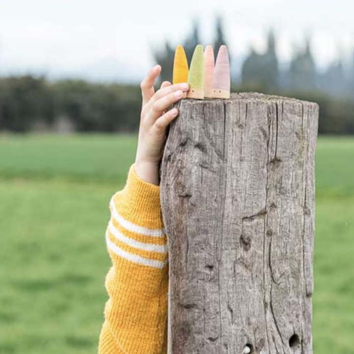 Stick Wooden Pegs Set